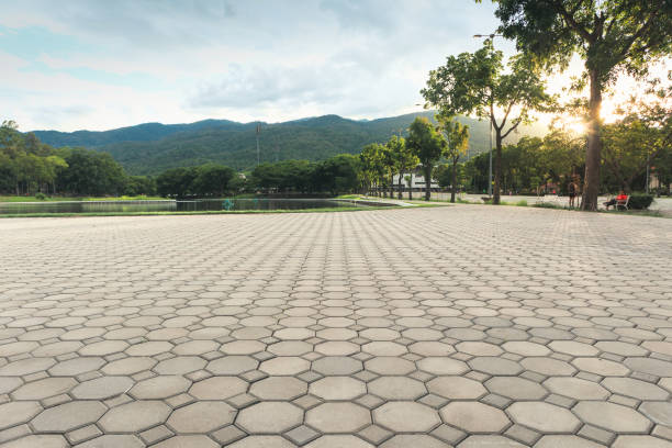 Best Local Driveway Pavers  in Suitland, MD