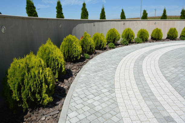Reasons to Select Us for Your Driveway Paving Requirements in Suitland, MD