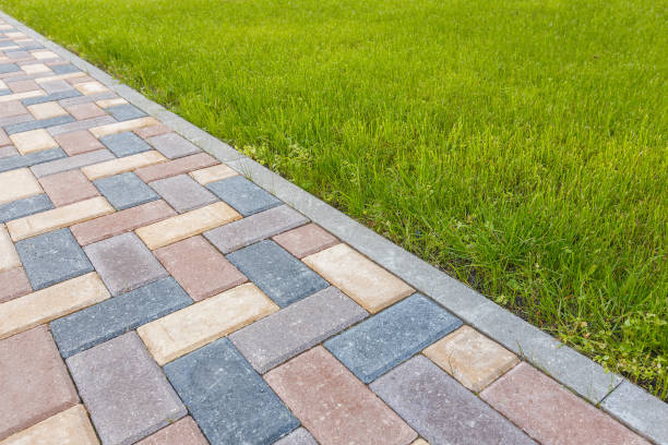 Best Driveway Paving Contractor  in Suitland, MD